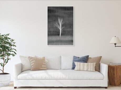 White Birch Tree Multiple Exposure fine art print in a minimalist living room above a white sofa - Abstract