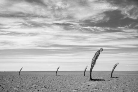 Consciousness Land Art Sculpture Gobi II. - Desert